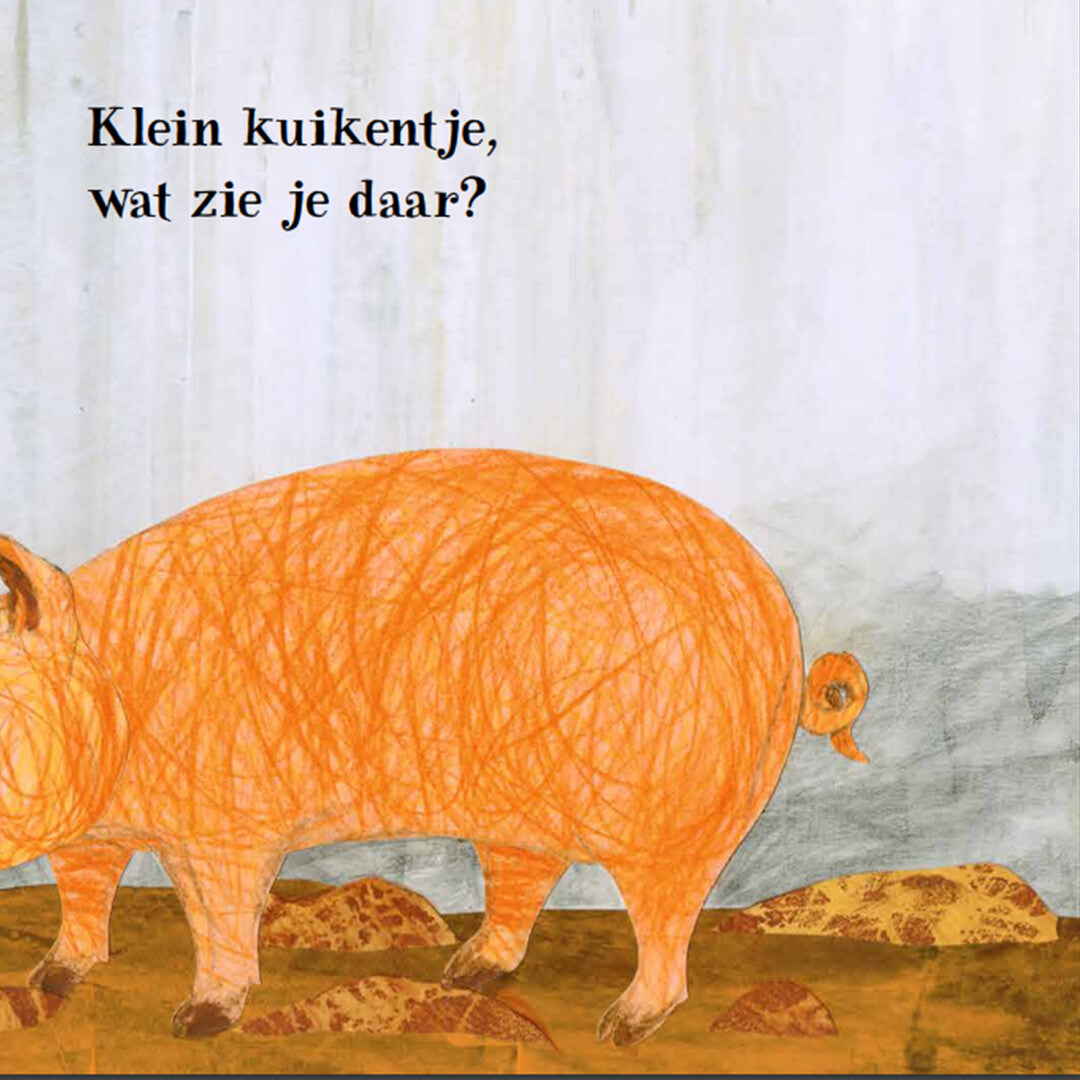 Uitgeverij lemniscaat klein kuikentje