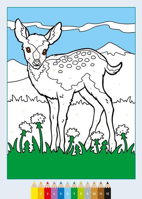 Ravensburger CreArt Malen nach Zahlen ab 5: Tierkinder, Malbuch, 24 Motive