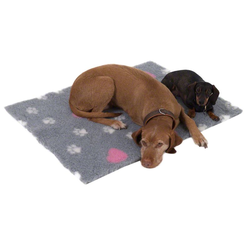 Tapis Vetbed Isobed, gris, beige et rose