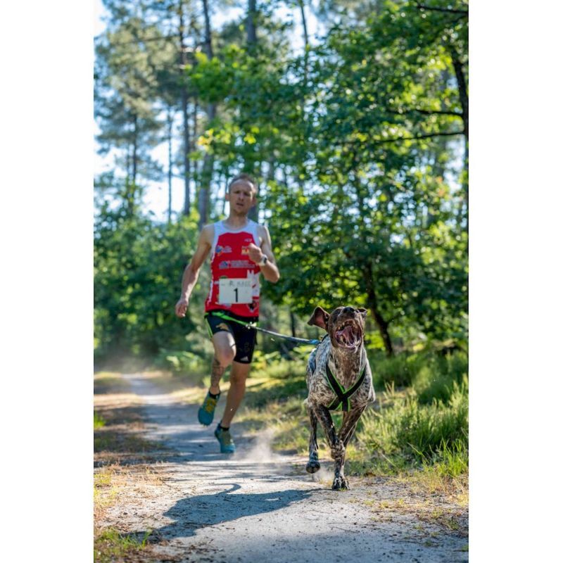 Crosstrail 1 - Laisse canicross