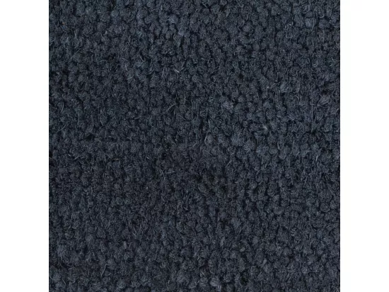 Tapis de porte 2 pcs gris foncé 40x60 cm fibre de coco touffeté