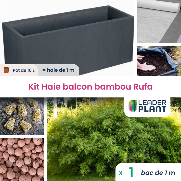 Kit brise-vue balcon bambou rufa 10 l