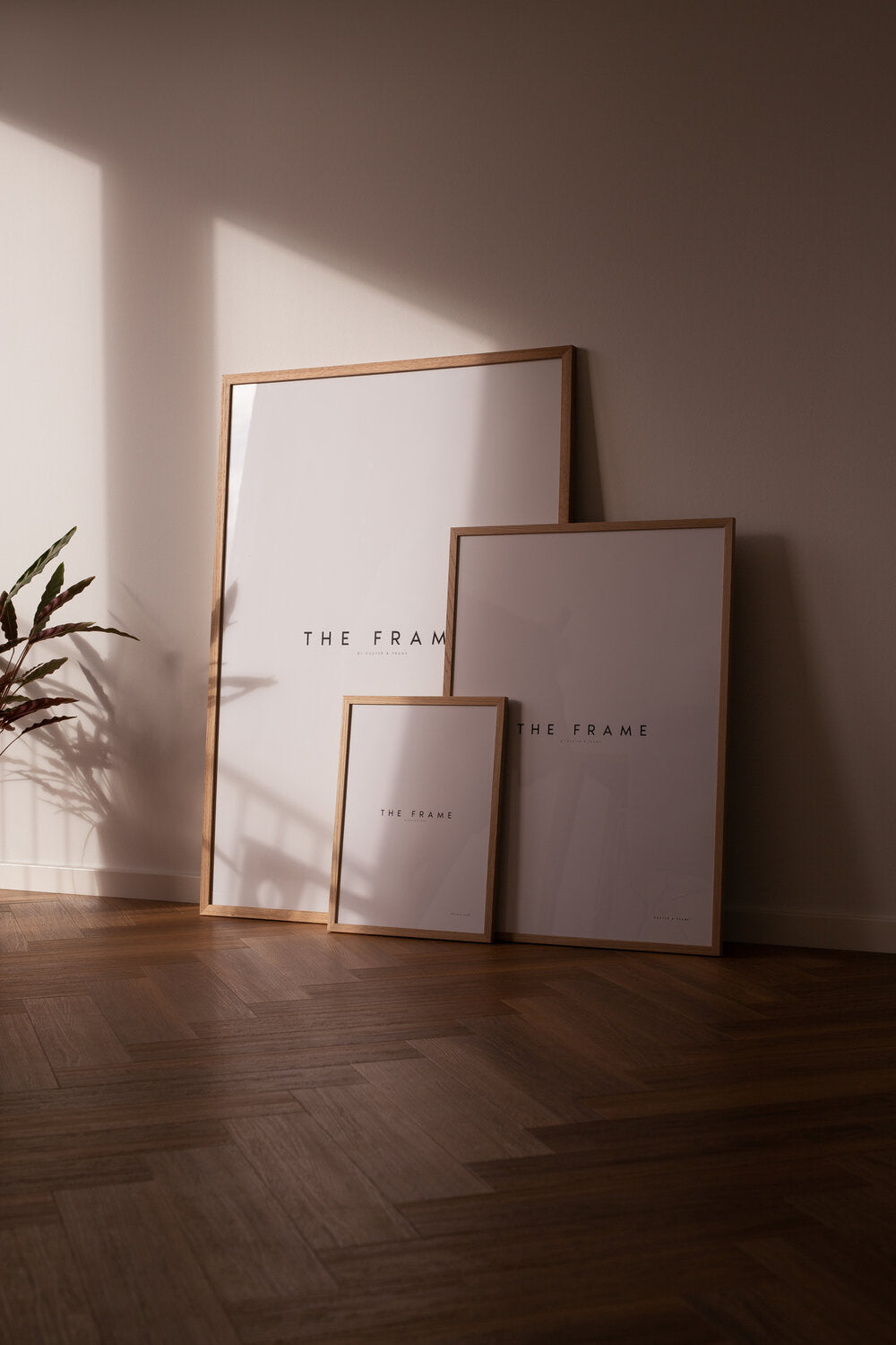 Poster & Frame  Træramme - Lys eg