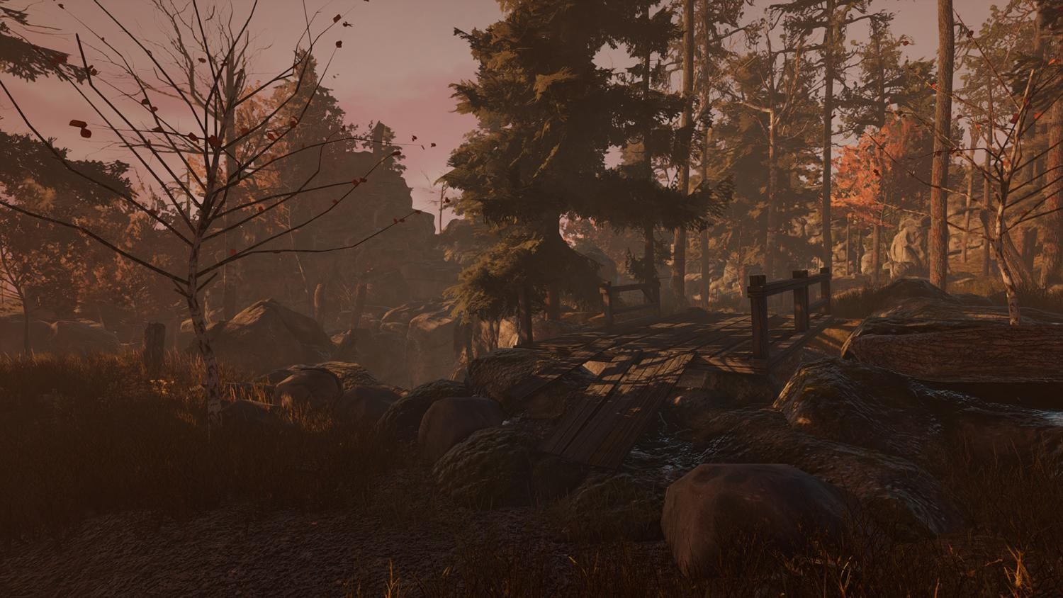 Through the Woods: Digital Collector's Edition- PC