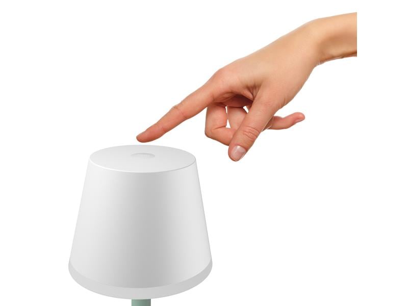Philips Hue White & Col. Amb. Go Tragbare Tischleuchte weis Tragbare intelligente Tischleuchte für den Aussenbereich (IP54)