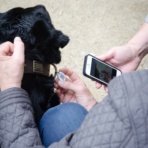 Pingente de identificação com código QR preto