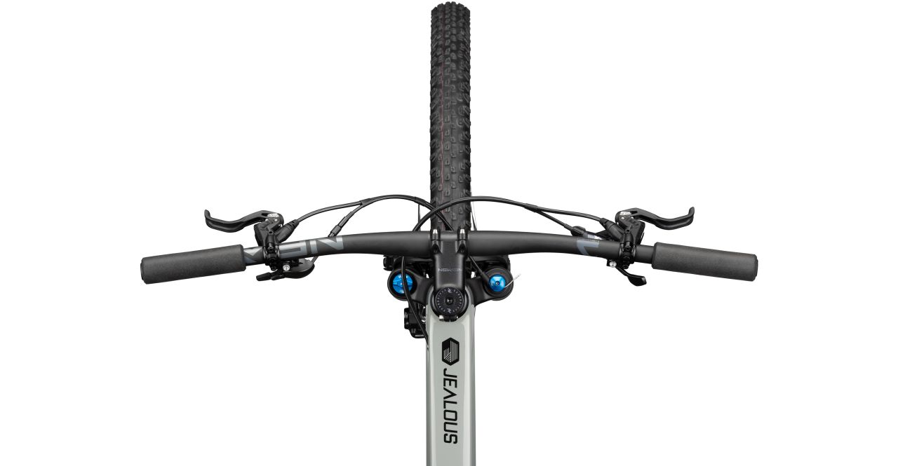 Radon Jealous 8.0 kaufen | Bike-Discount