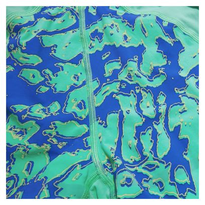 Maillot de Bain Speedo Fastkin LZR IGNITE Jammer Vert/Bleu