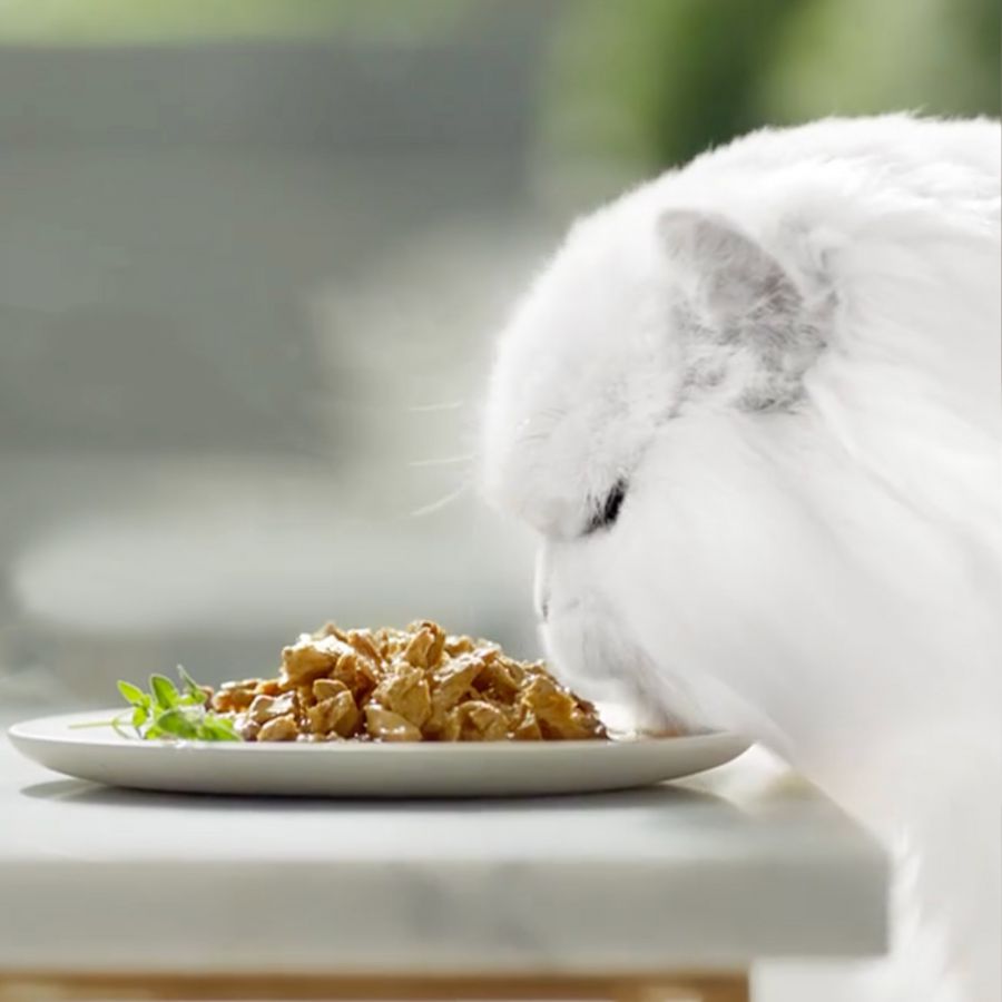 Sachê de Filés de Carne Gourmet Perle em Molho para Gatos