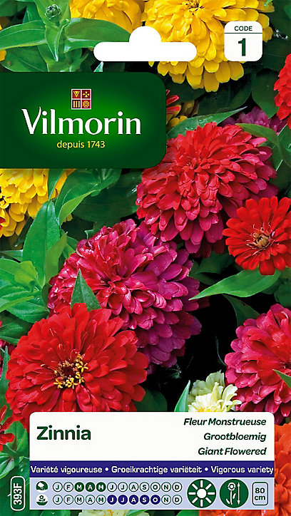 Graines de Zinnia à Fleur Monstrueuse Varié Vilmorin