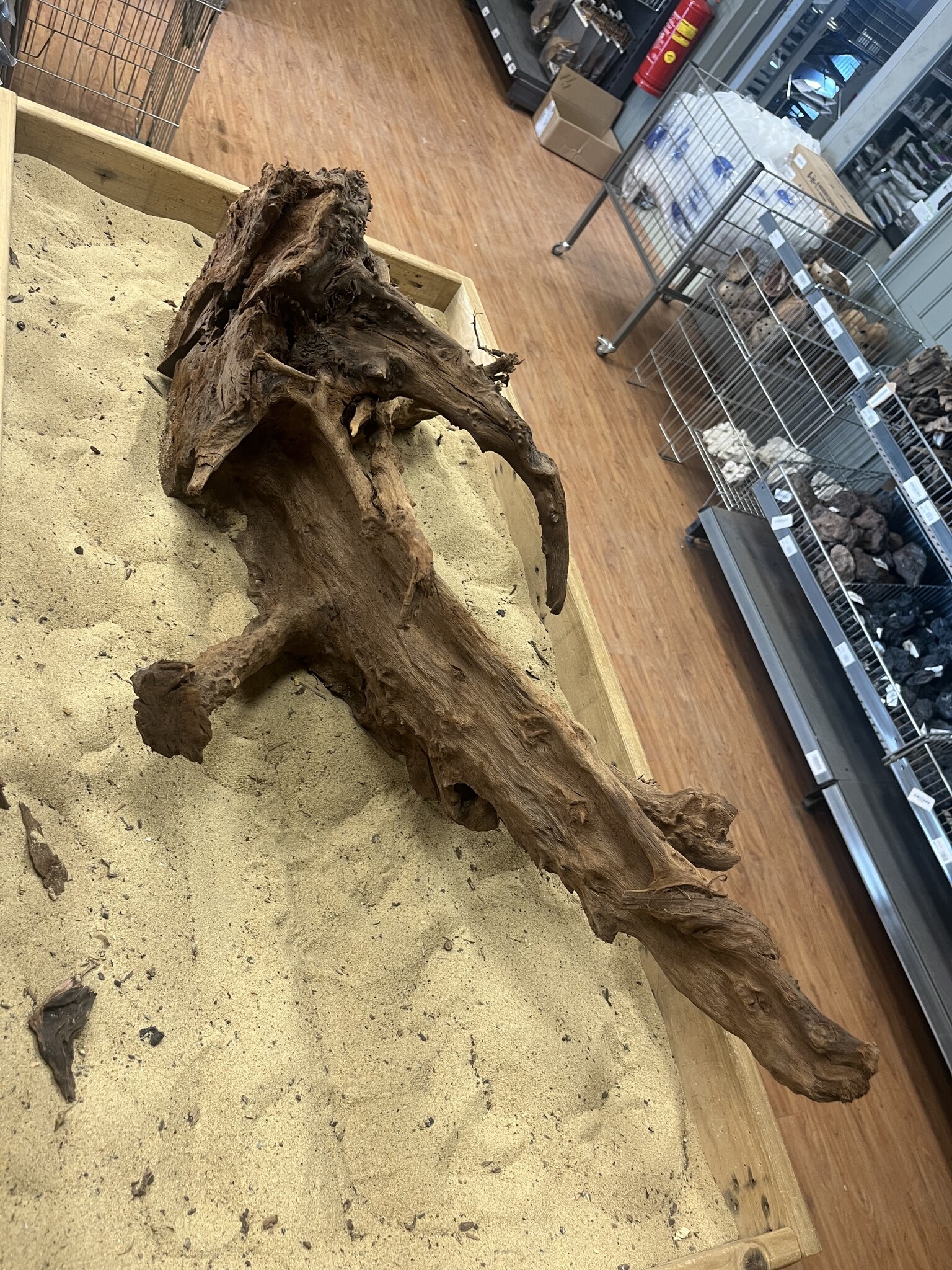 AQXL Selected Mangrovehout XL C 70-90cm