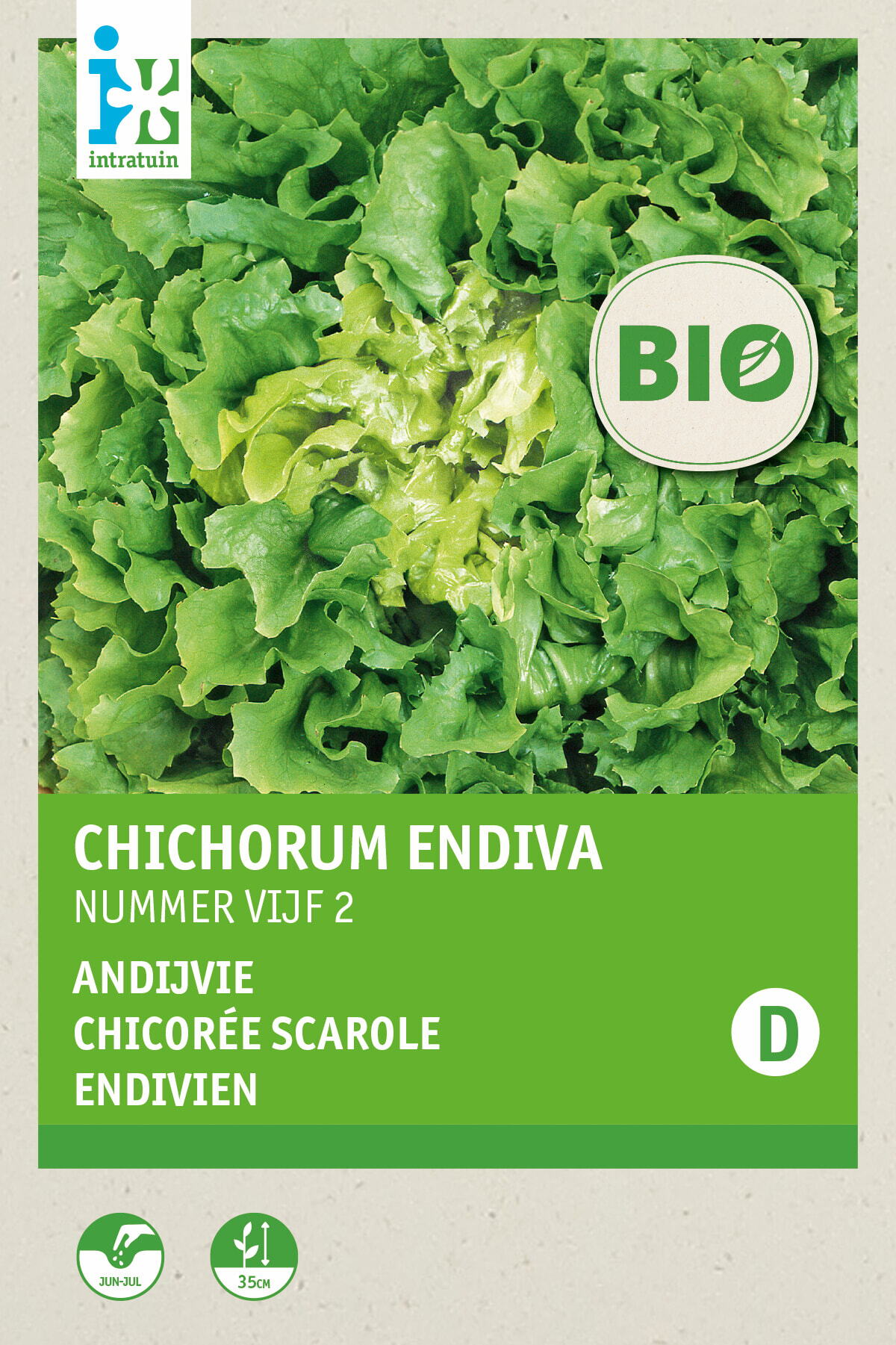 Biologische Intratuin groentezaad Andijvie breedblad (Cichorium endivia)