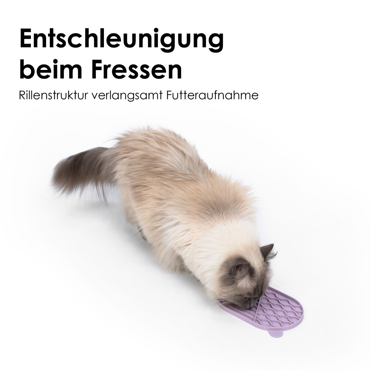 LucyBalu ZENPAD Katzen Schleckmatte flieder