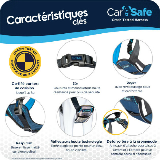 Harnais Crash Tested transport en voiture CarSafe pour chien