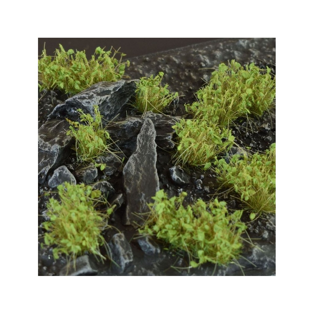Dark Green Shrubs