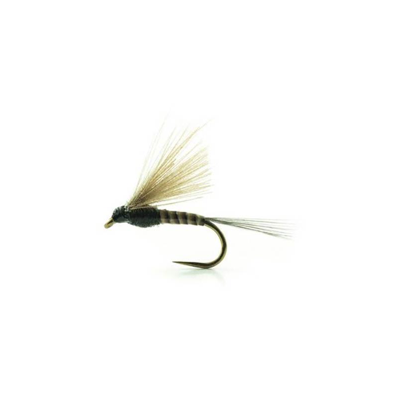 Mouche Devaux Emergente Jbe46