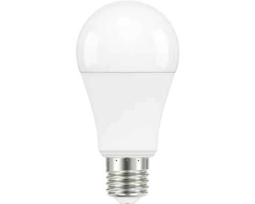 FLAIR LED Sensorlamp A60 E27/10W(75W) 1055 lm 2700 K mat met bewegingsdetectie