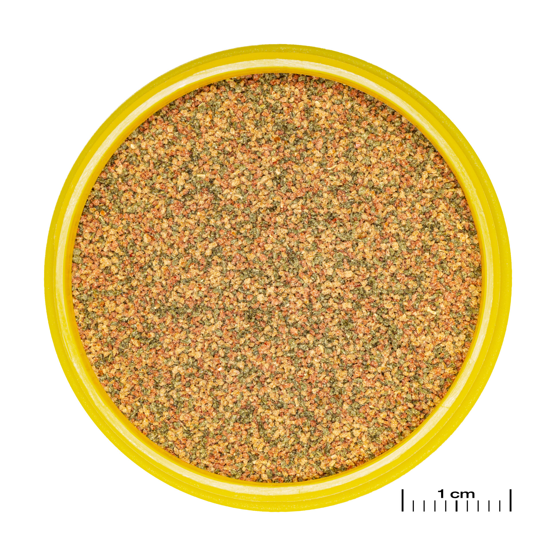 JBL Pronovo Bel Grano XXS 100ml Click | Zinkend granulaat