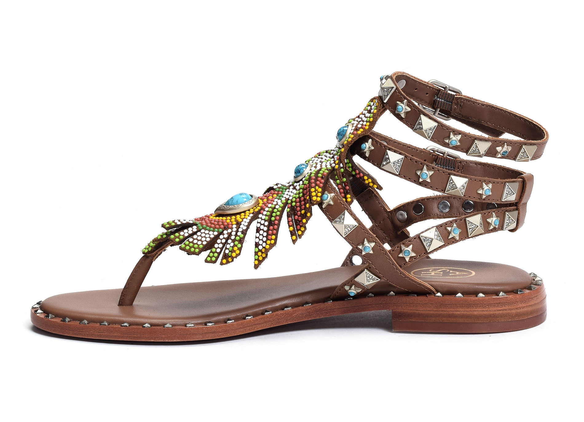Pandora camel