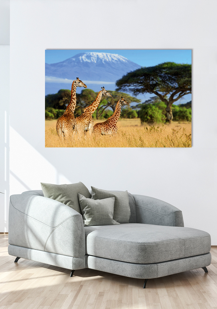 Akustikbild GIRAFFEN 80x120cm, 7kg