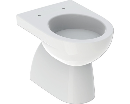 GEBERIT Renova staande wc, diepe spoeling, met rand, glanzend wit, zonder wc-bril 500811012