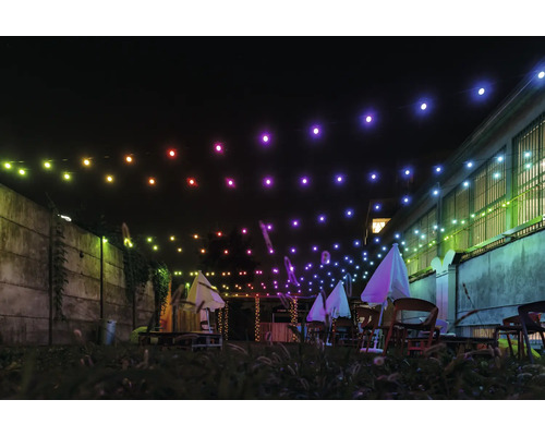 Twinkly Festoon Multicolor LED-lichtsnoer 40 LED's