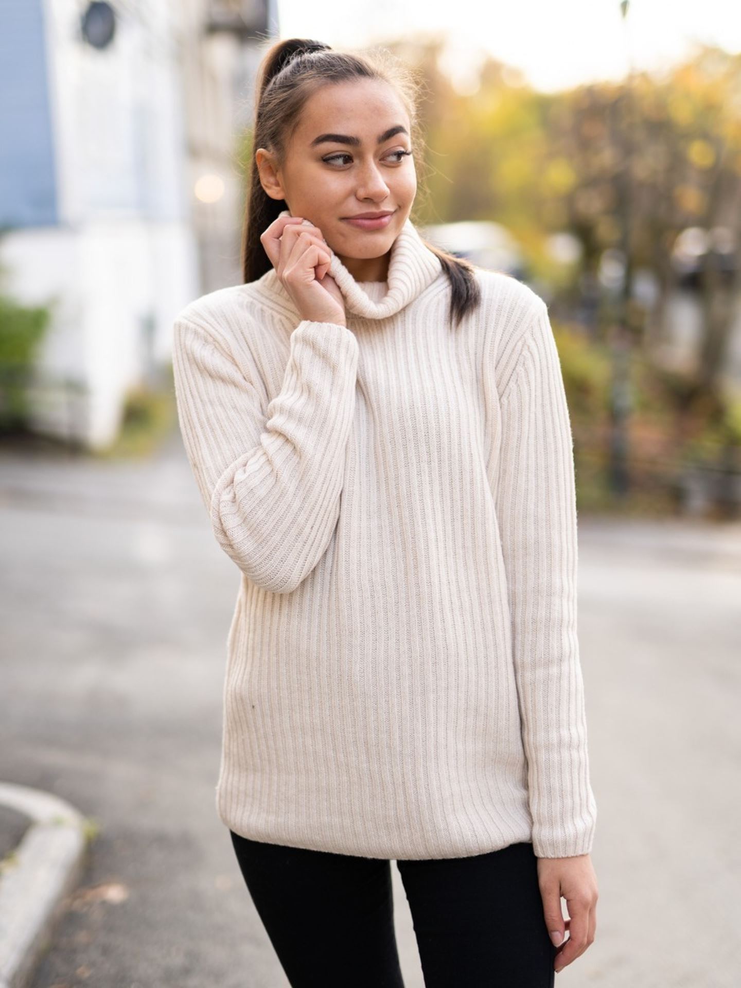 Adison Wool Turtlenck