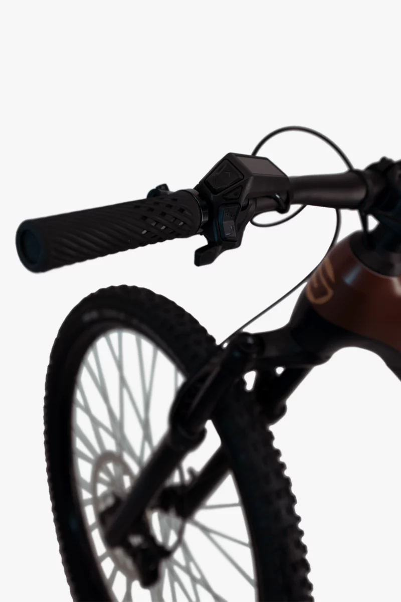 Stoke Clavo 750 29 E-Mountainbike 2024