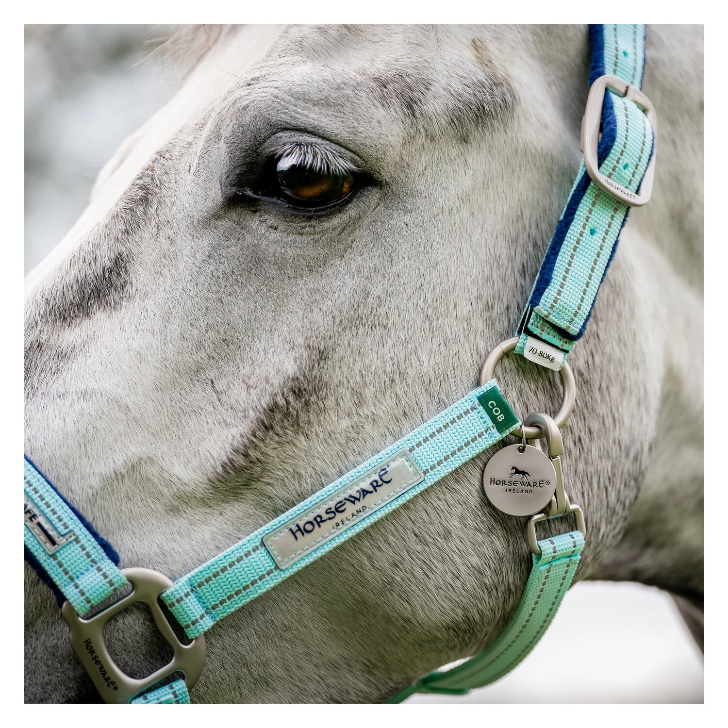 HORSEWARE Halfter Fieldsafe  - blue haze