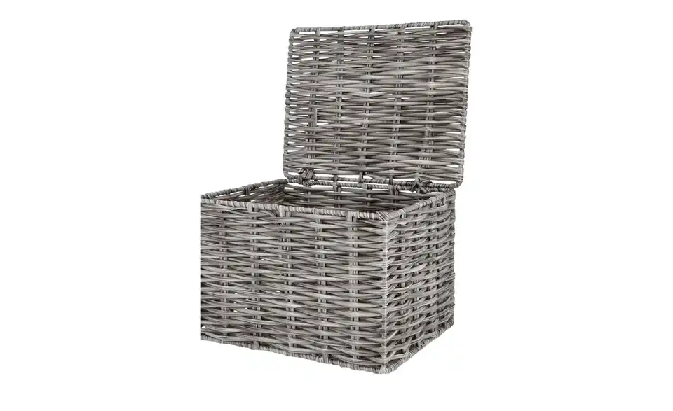 Aufbewahrungsbox, 2er Set