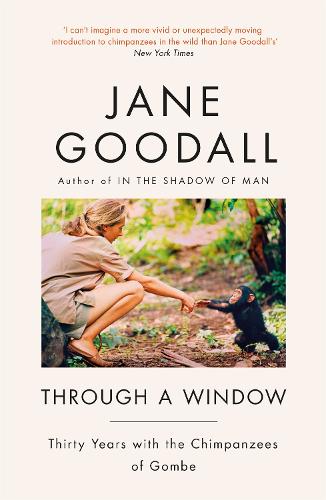 Through A Window (Paperback)