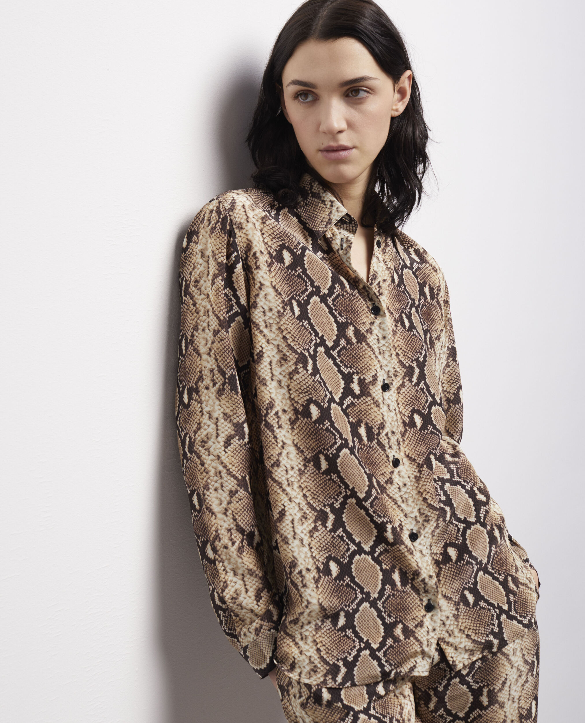 Chemise python