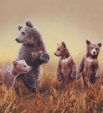 Molo Bluse - Reif - Bear Life