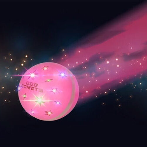 Dog Comets Helix