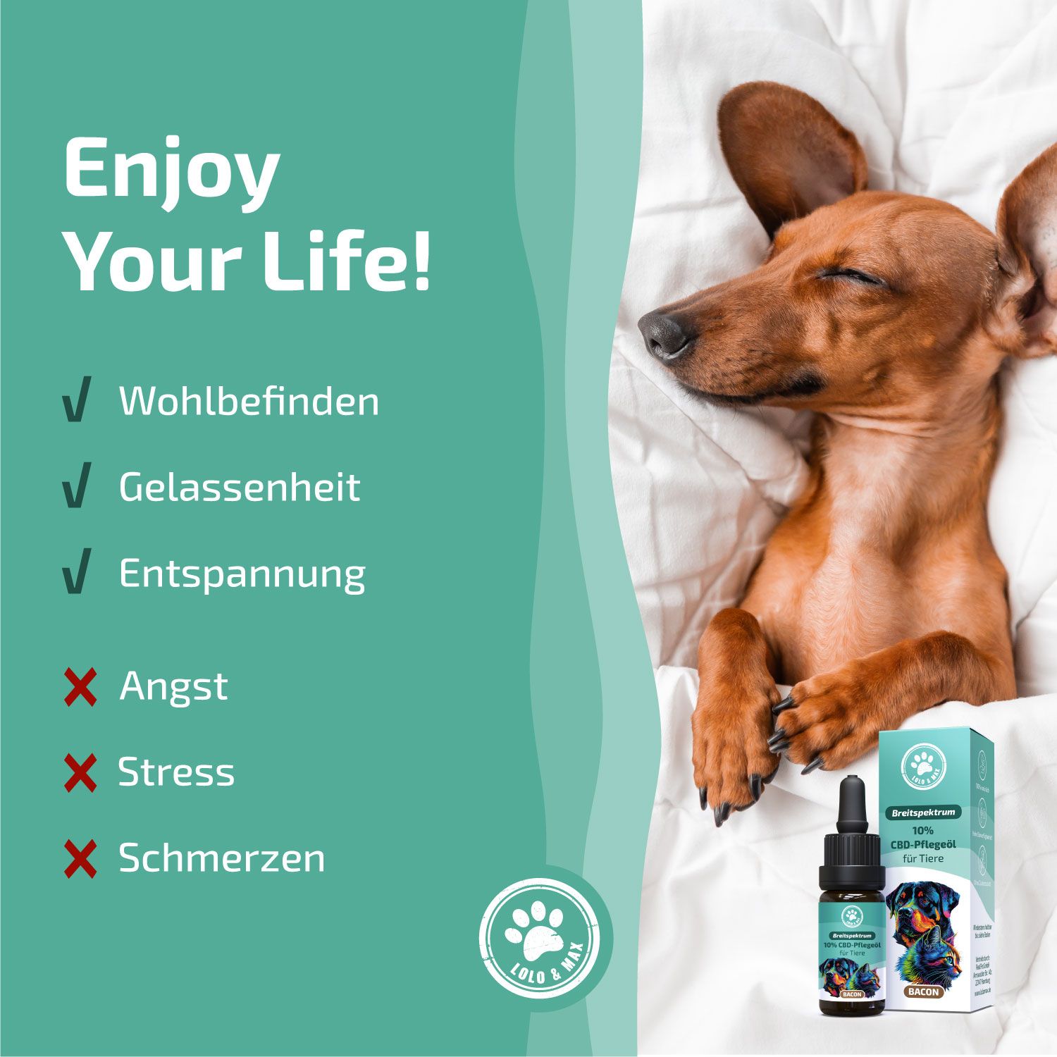 Lolo & Max - 10% CBD-Öl für Hunde & Katzen - Bacon
