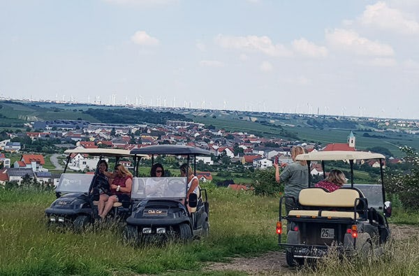 Weinbergsrundfahrt Jois