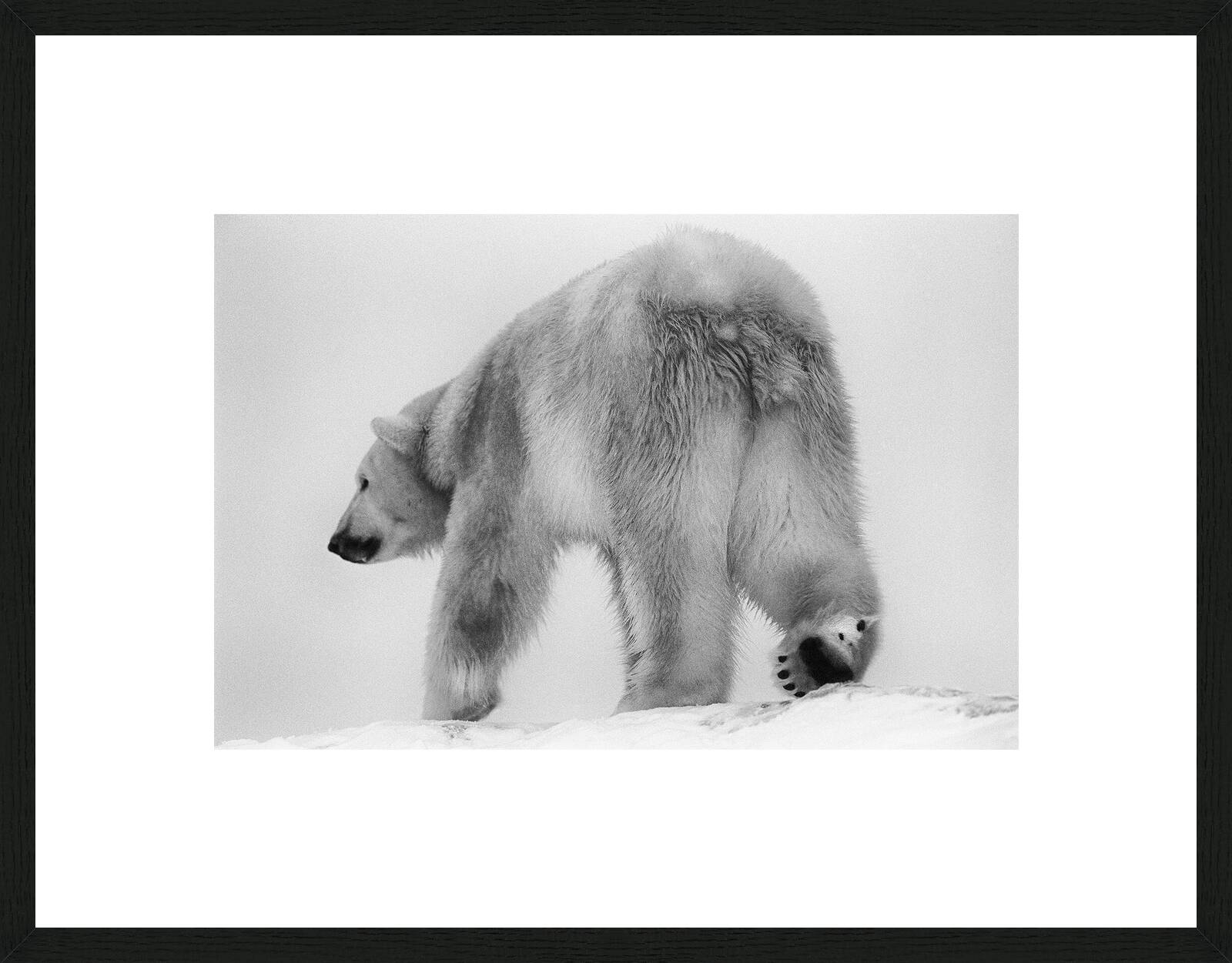 The Wanderer by Heidi & Hans - Jürgen Koch - Limited Edition. Edition of: 150. Signed.