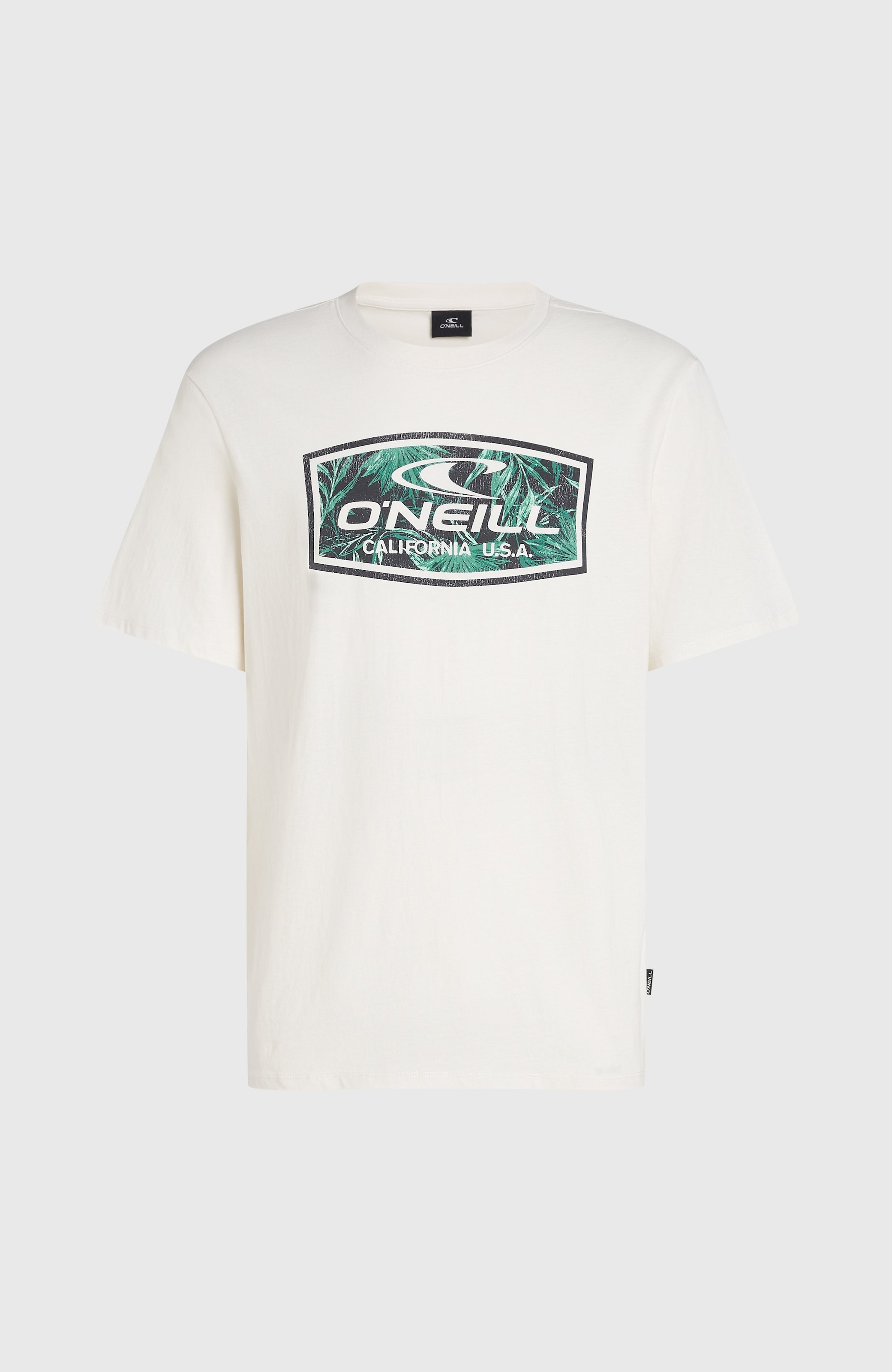 O'Neill T-Shirt »O'NEILL GRAPHIC T-SHIRT«, 1 Stk.