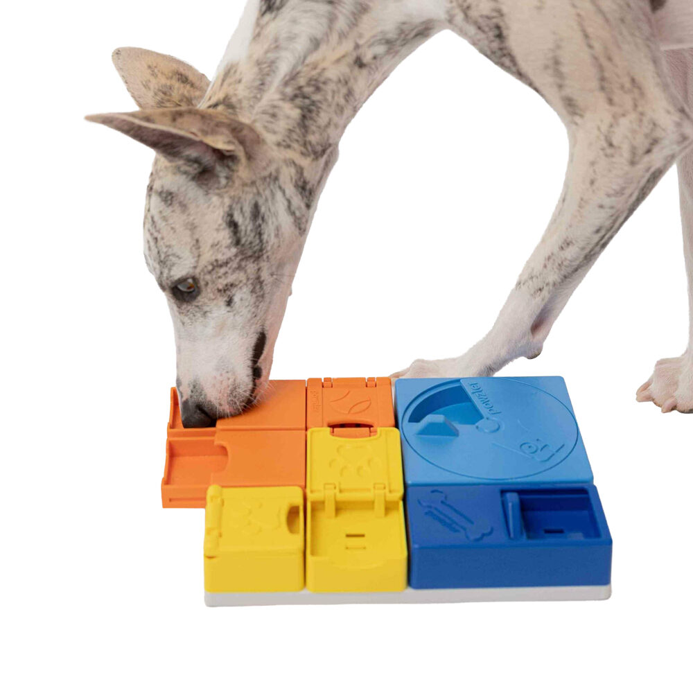 Pawzler Rainbow Set