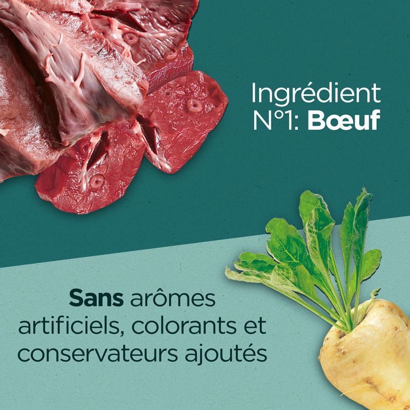 PURINA ONE Dual Nature Stérilisé bœuf, spiruline