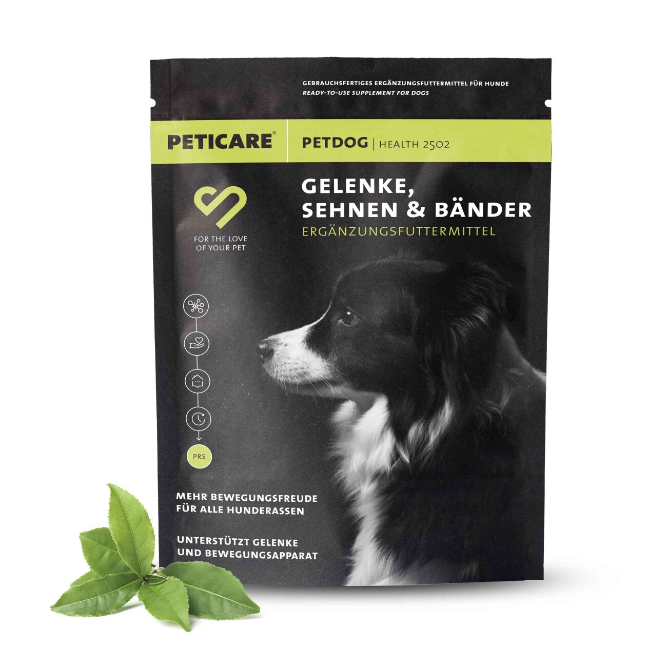 Peticare Gelenkpulver für Hunde mit MSM &Kollagen