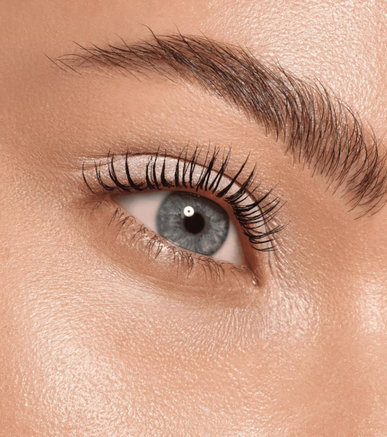 Catrice - Sombra para olhos Art Couleurs - 460: Frosted Dust