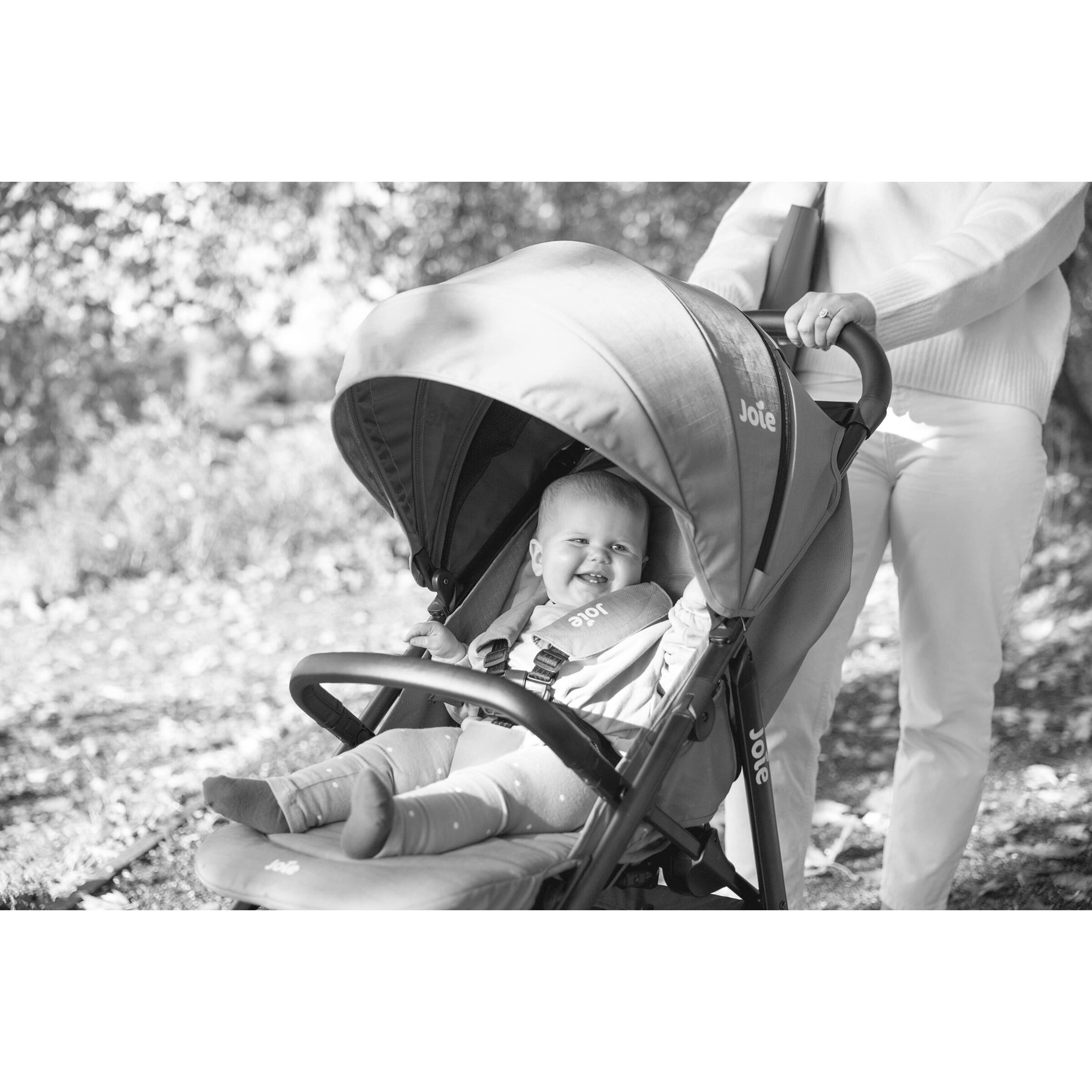 Joie Sportwagen Litetrax Pro Air rosemary