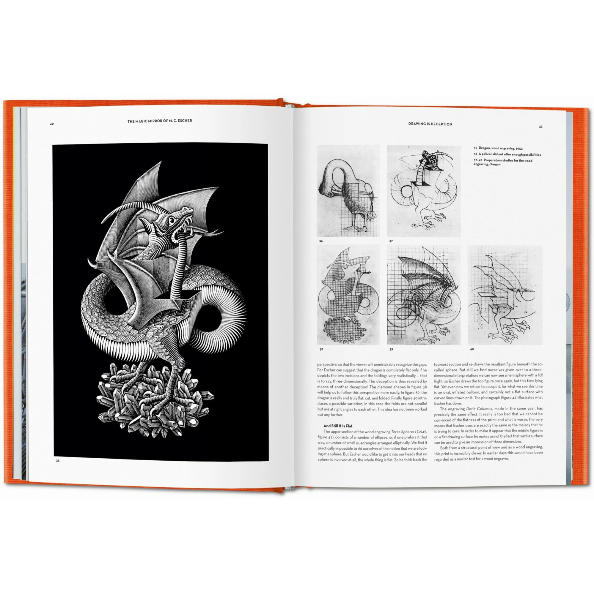 The magic mirror of M.C. Escher