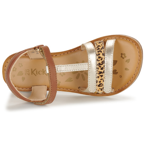 Kickers - DIAMANTO - Camel / Doré / Leopard
