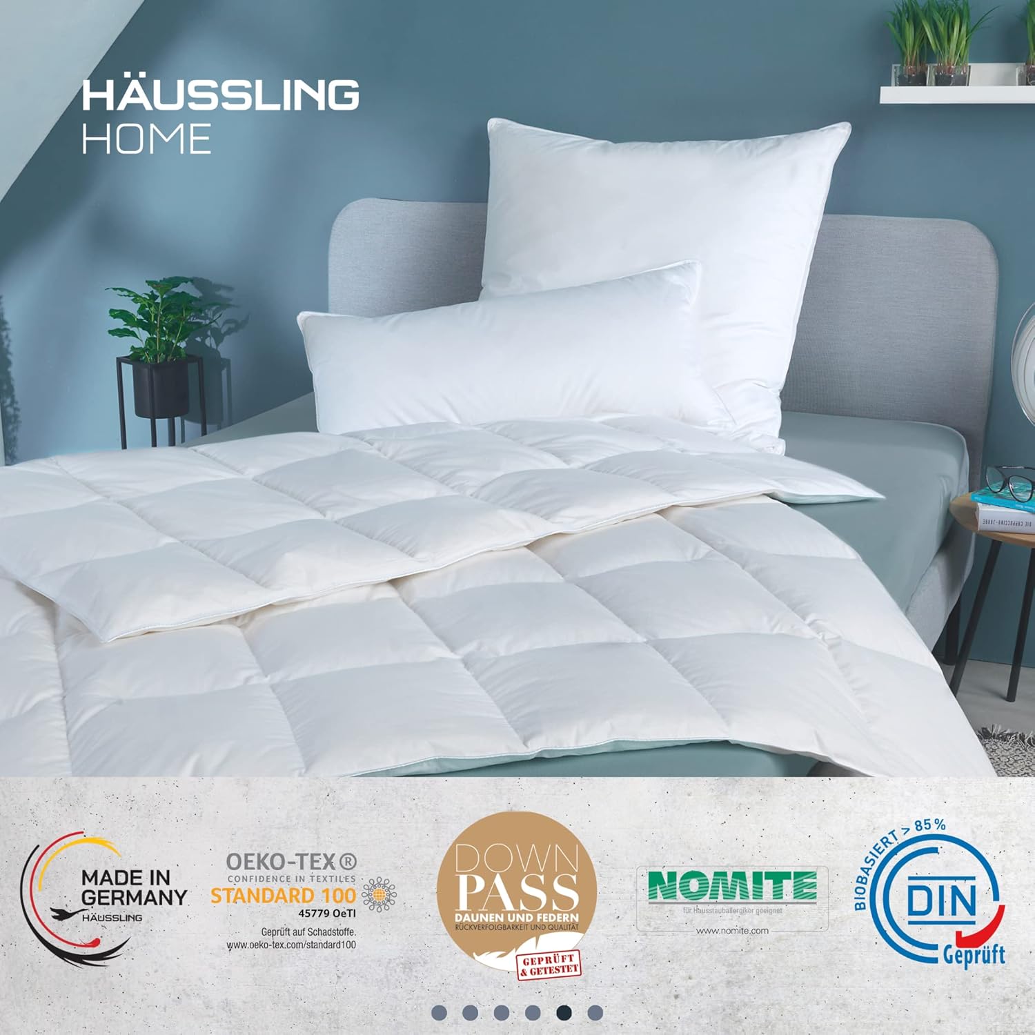 Häussling Home Daunendecke 200x200 cm | Ganzjahresdecke, Bettdecke, Made in Germany, 90% Daunen, auch für Allergiker geeignet, Bezug 100% Baumwolle,Füllgewicht 760g