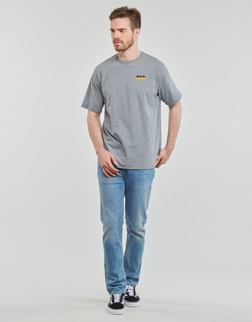 Patagonia - M'S FITZ ROY WILD RESPONSIBILI-TEE Gris