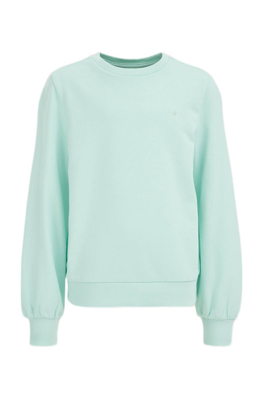 WE Fashion sweater mintgroen