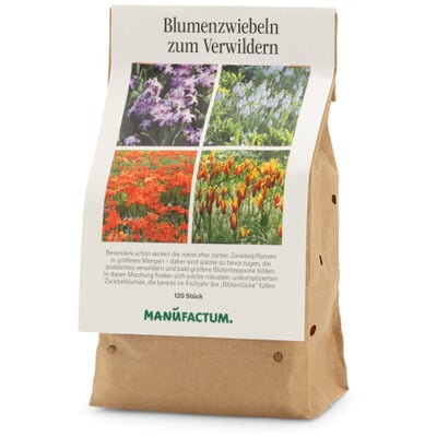 Blumenzwiebeln zum Verwildern
