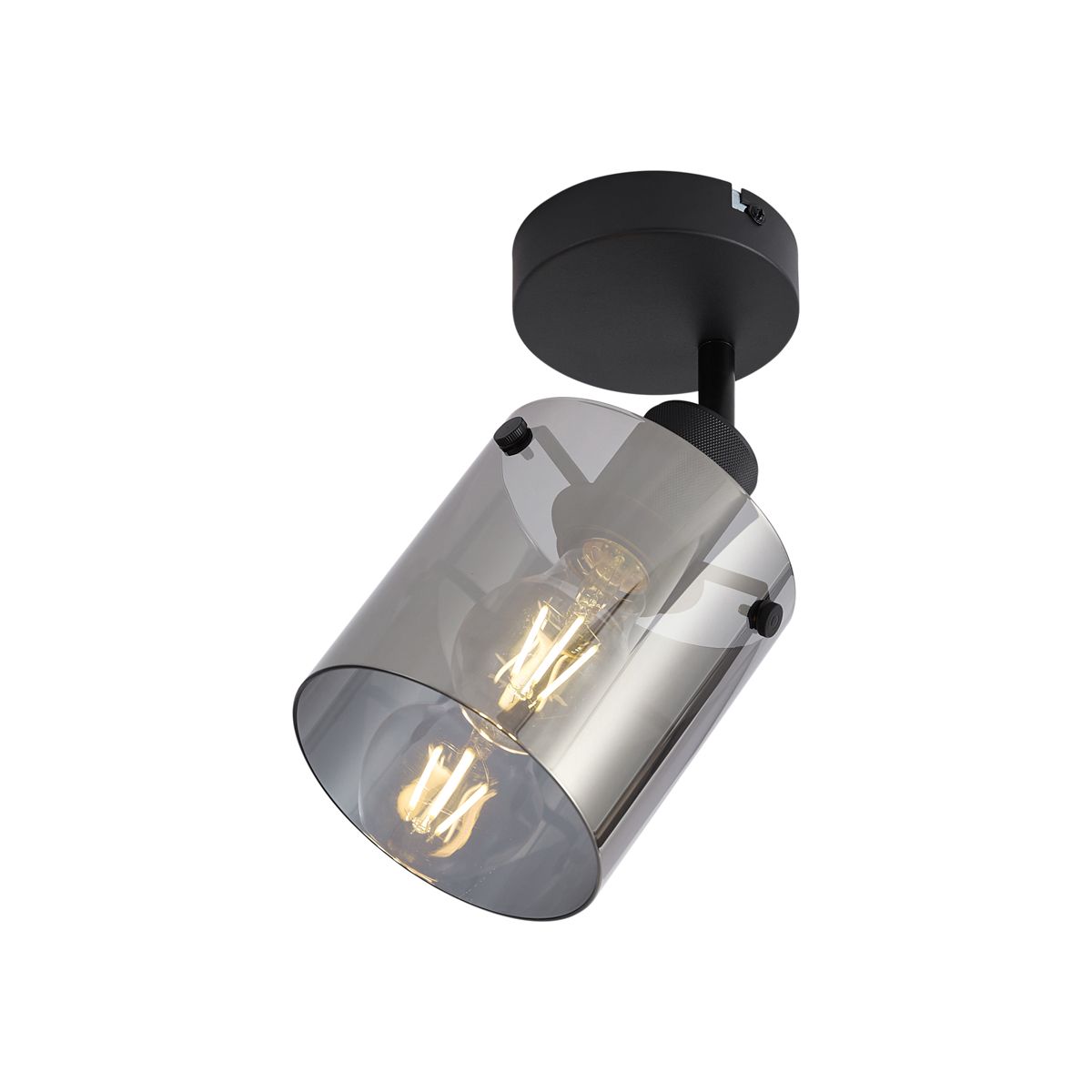 Design wandspot zwart met smoke glas - Domo